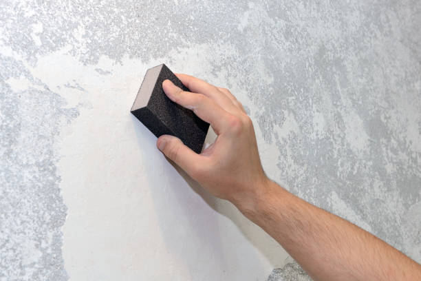 Best Mold Remediation for Healthcare Facilities  in Preston, TX
