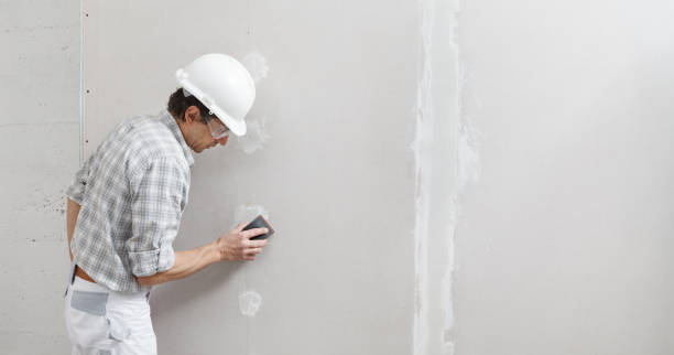 Best Real Estate Mold Inspection  in Preston, TX