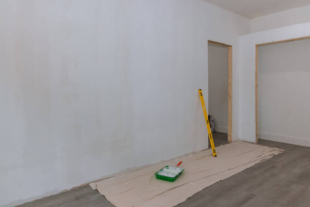Best Asbestos and Lead Testing During Mold Inspection  in Preston, TX