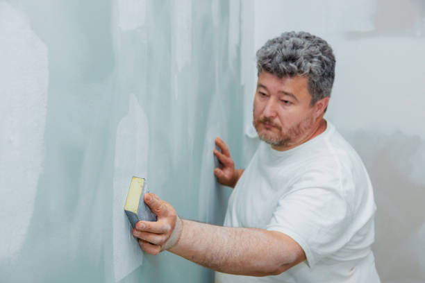 Best Post-Construction Mold Inspection  in Preston, TX