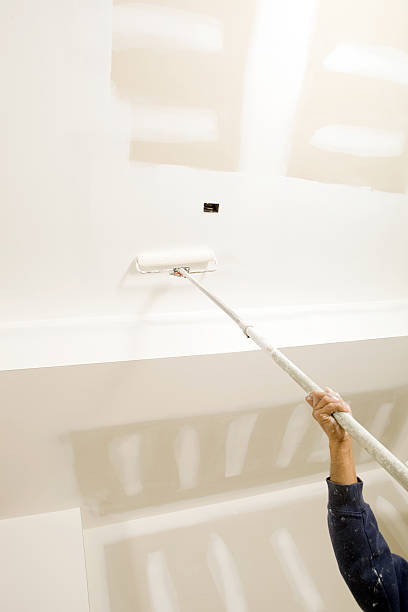 Best Emergency Mold Remediation  in Preston, TX