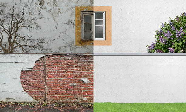 Best Mold Prevention Services  in Preston, TX