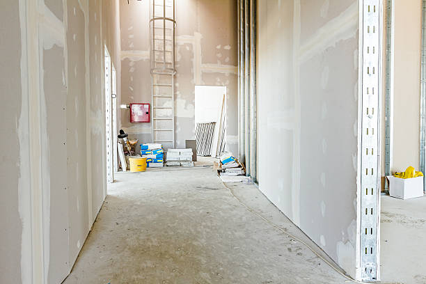 Preston, TX Mold Removal Company